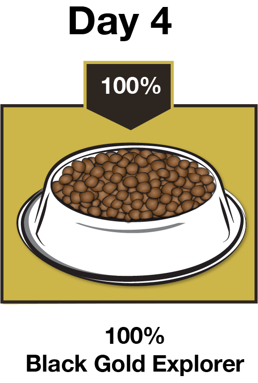 pet food bowl showing 100% Black Gold Explorer