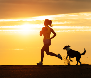 silhouette of woman and dog running into sunset