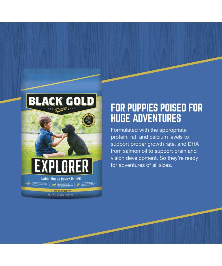 for puppies poised for huge adventures