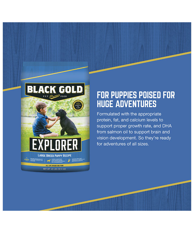 Large Breed Puppy Recipe Black Gold Premium Pet Food Large Breed Puppy Recipe