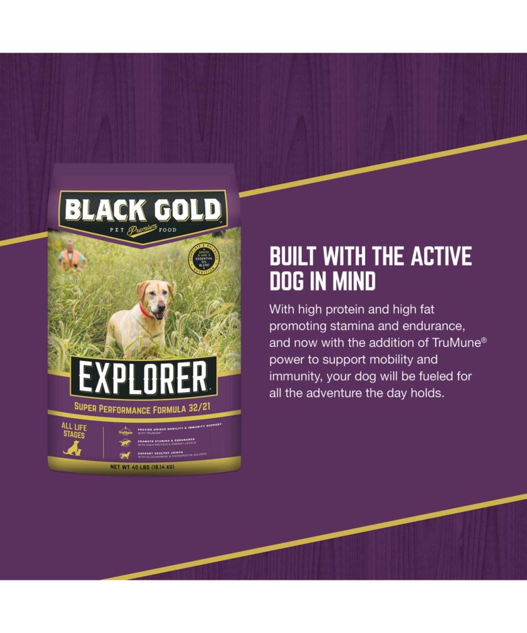 built with the active dog in mind