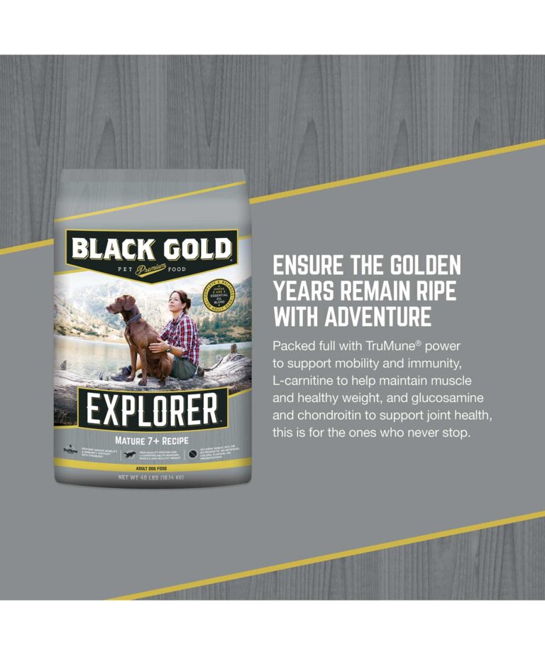 ensure the golden years remain ripe with adventure
