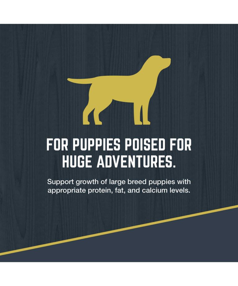 for puppies poised for huge adventures.