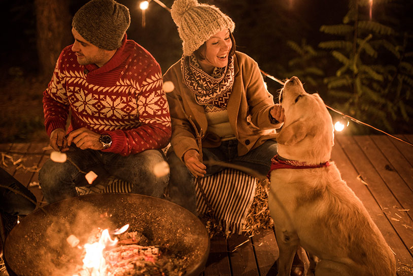 Family celebrating holidays at cottage. Sitting around the fire and roasting marshmallows