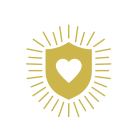 healthy heart icon