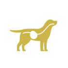 intestinal icon