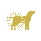 joint support icon