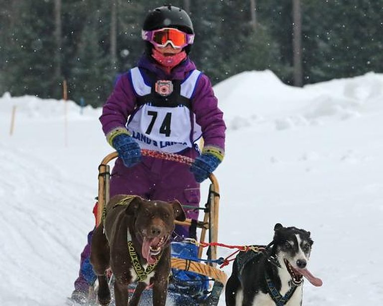 Young musher racing a two-dog sled team through the snow